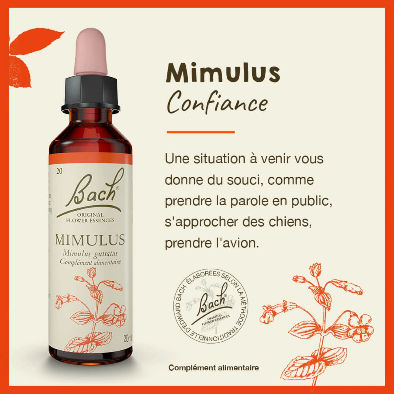 Fleurs de Bach Mimulus n°20 - Vue 4