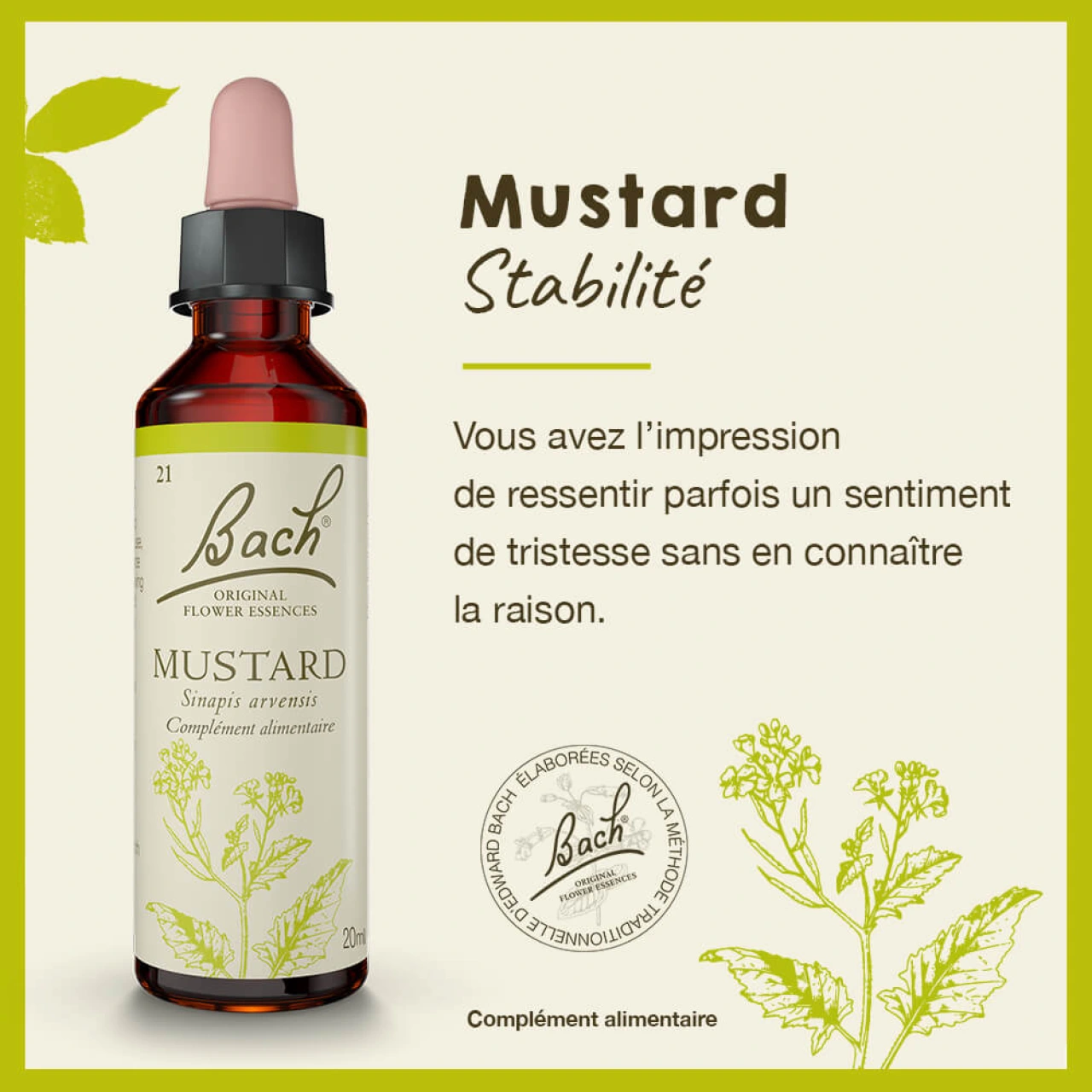 Fleurs de Bach Mustard n°21 - Vue 4