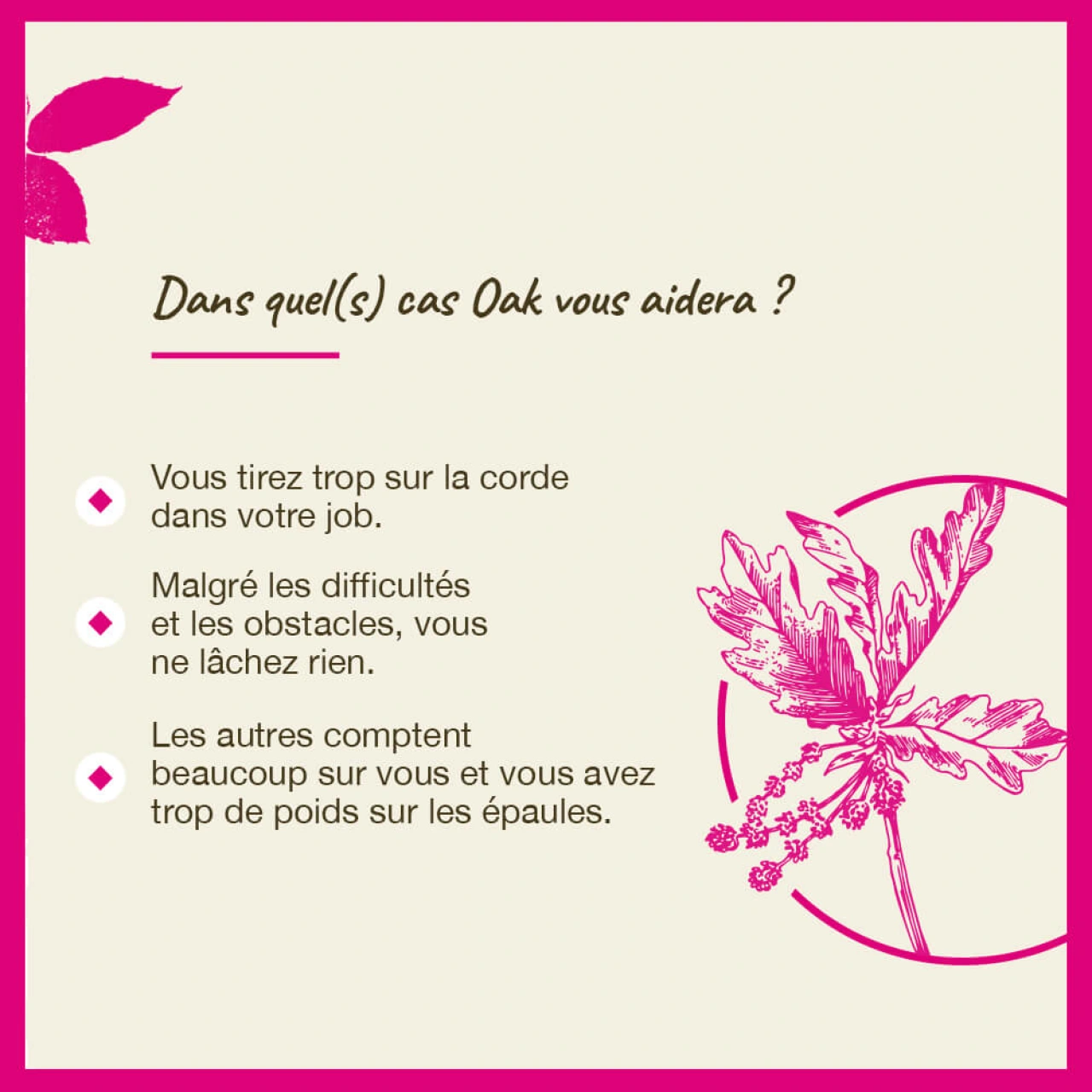 Fleurs de Bach Oak n°22 - Vue 8
