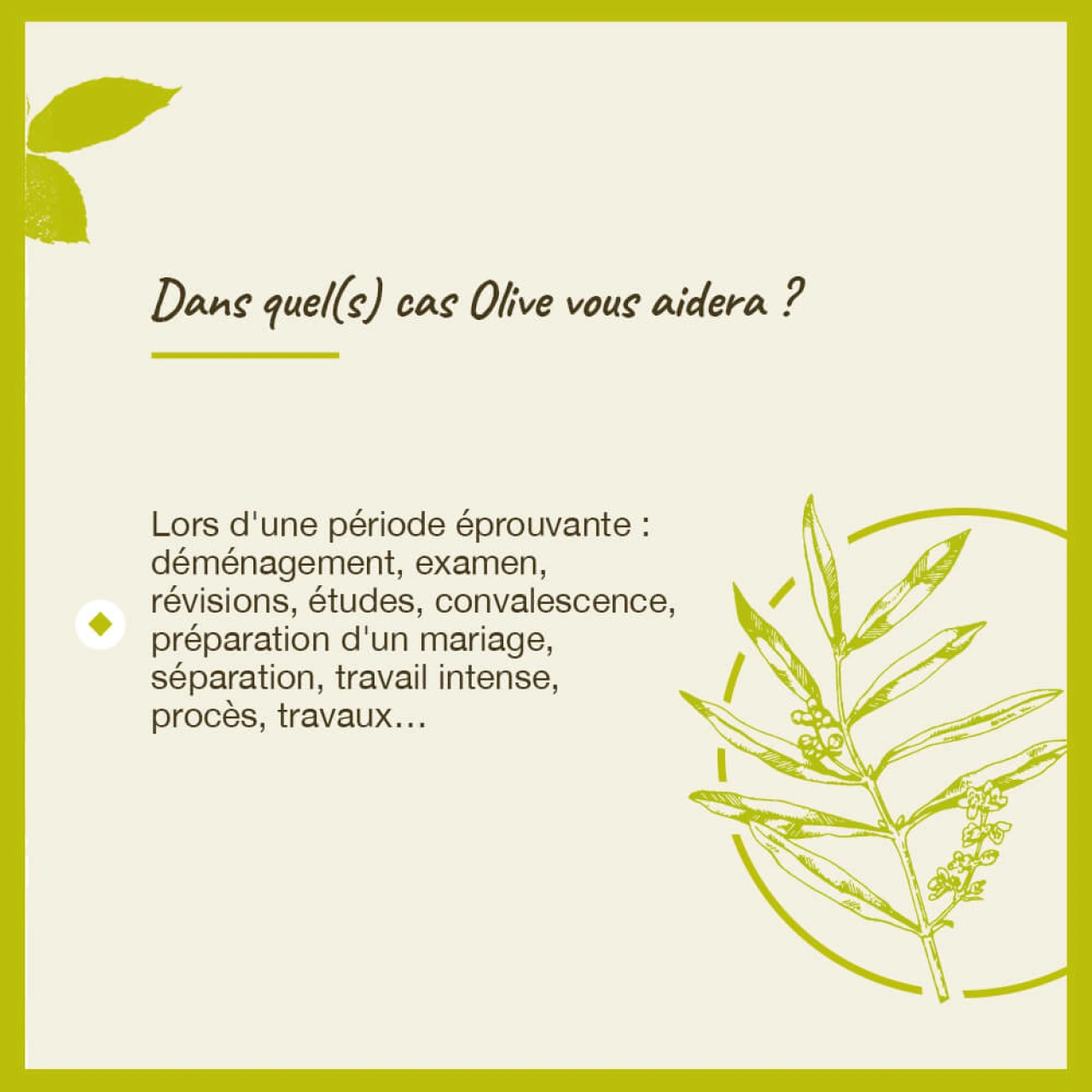 Fleurs de Bach Olive n°23 - Vue 8
