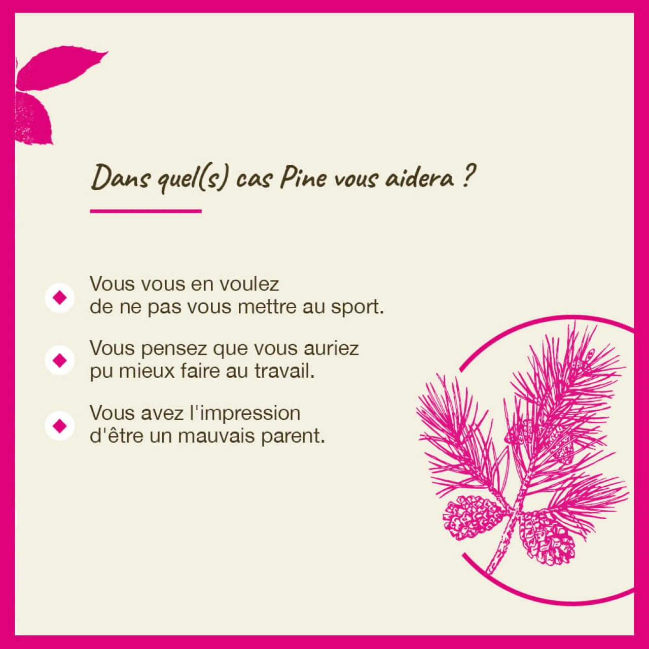 Fleurs de Bach Pine n°24 - Vue 8