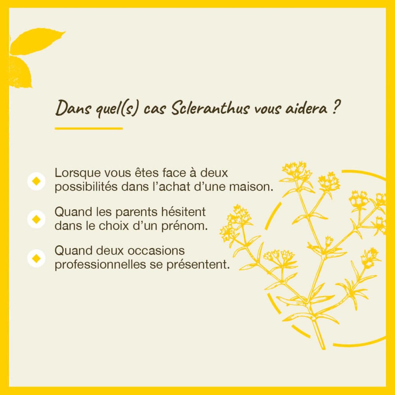 Fleurs de Bach Scleranthus n°28 - Vue 6