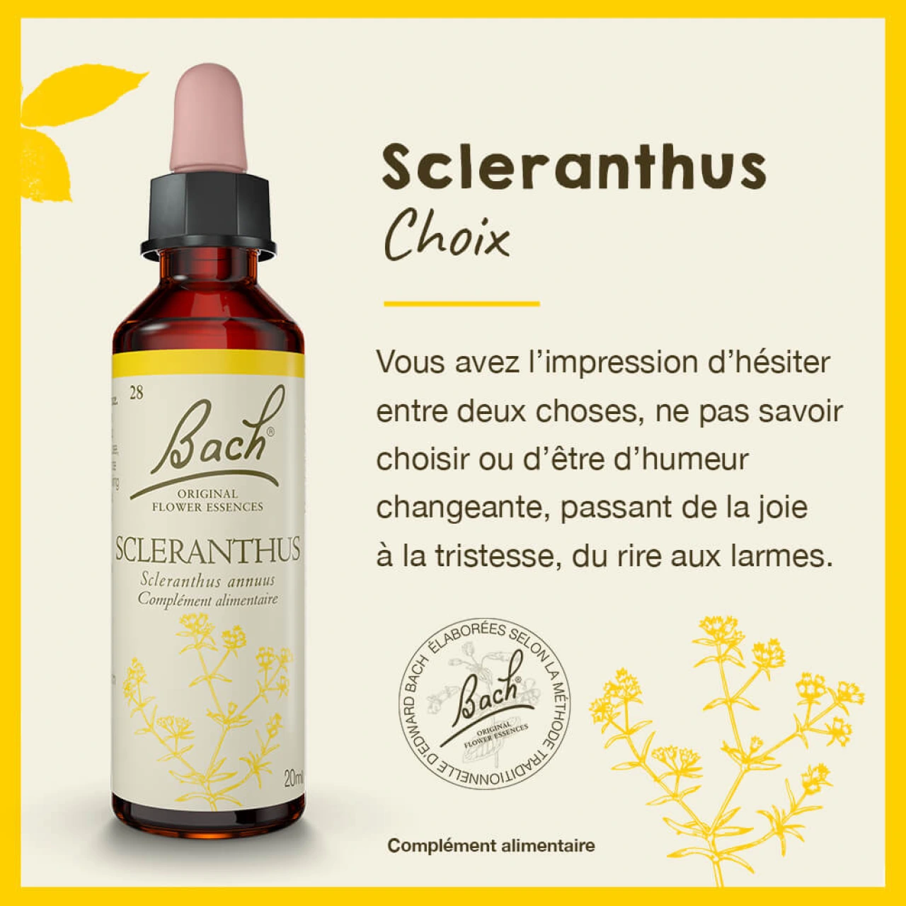 Fleurs de Bach Scleranthus n°28 - Vue 4