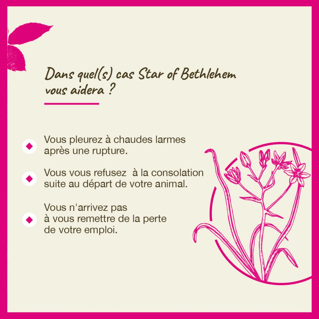 Fleurs de Bach Star of Bethlehem n°29 - Vue 6