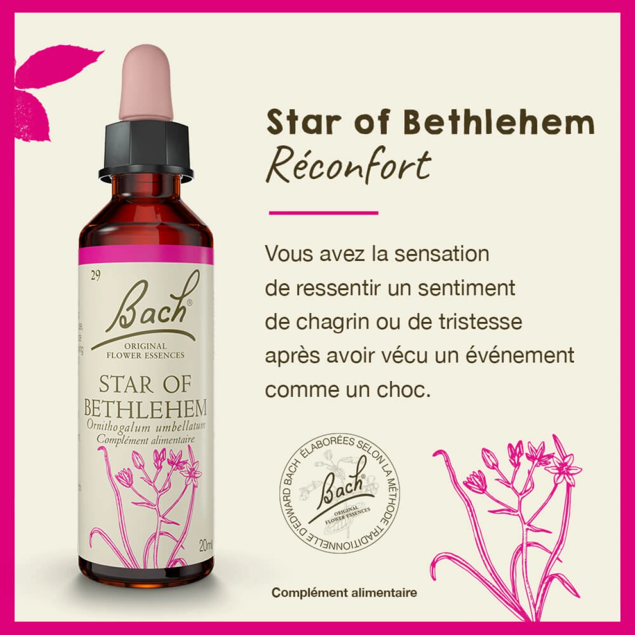 Fleurs de Bach Star of Bethlehem n°29 - Vue 4