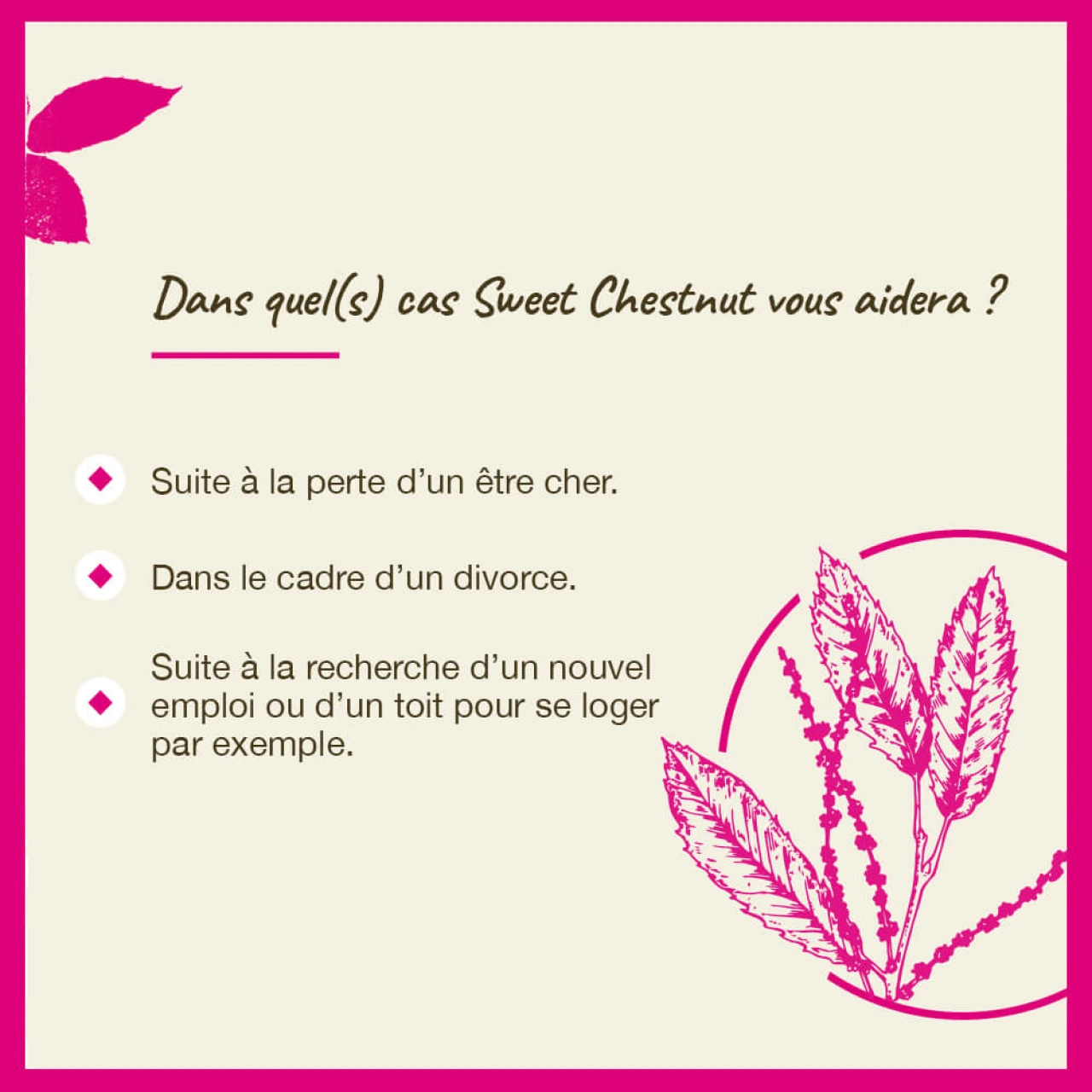 Fleurs de Bach Sweet Chestnut n°30 - Vue 6
