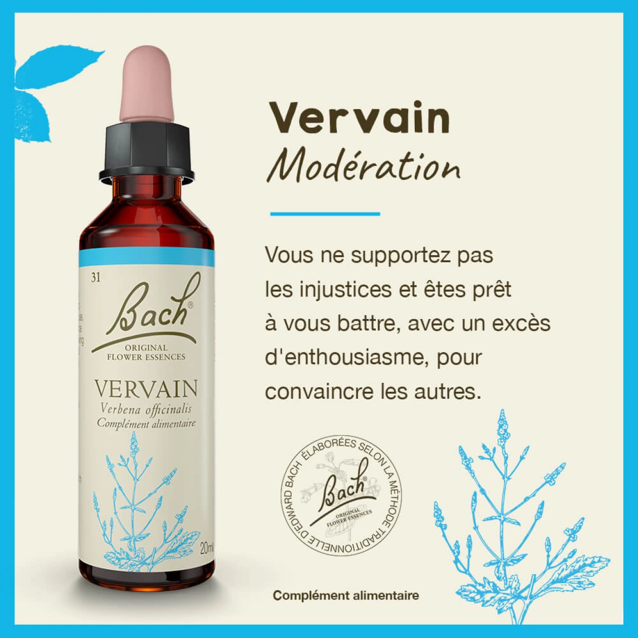 Fleurs de Bach Vervain n°31 - Vue 4