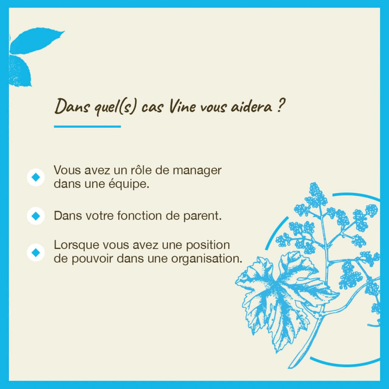 Fleurs de Bach Vine n°32 - Vue 6