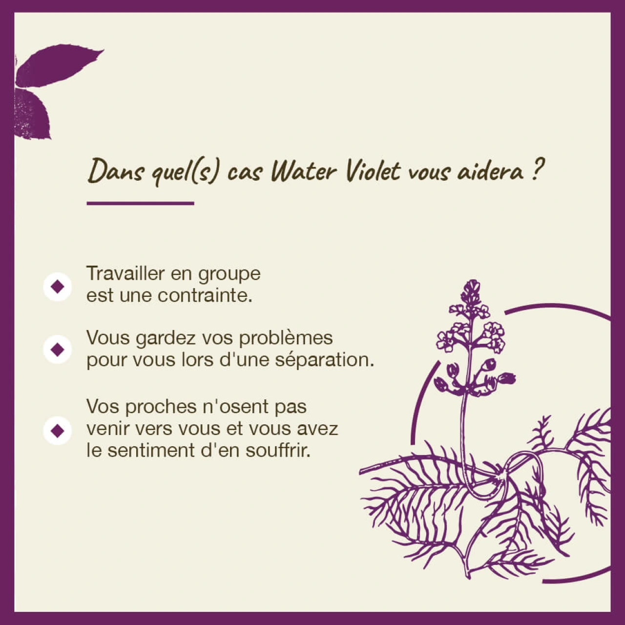 Fleurs de Bach Water Violet n°34 - Vue 6