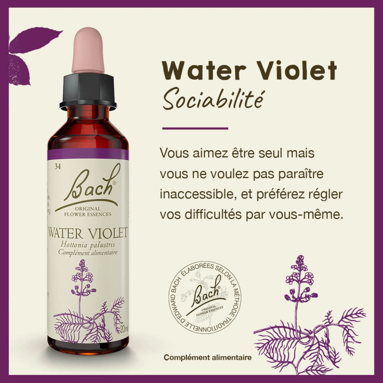 Fleurs de Bach Water Violet n°34 - Vue 4