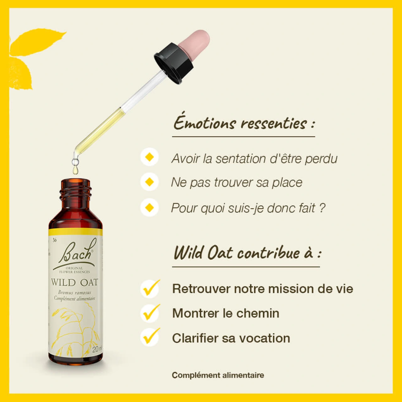 Fleurs de Bach Wild Oat n°36 - Vue 5