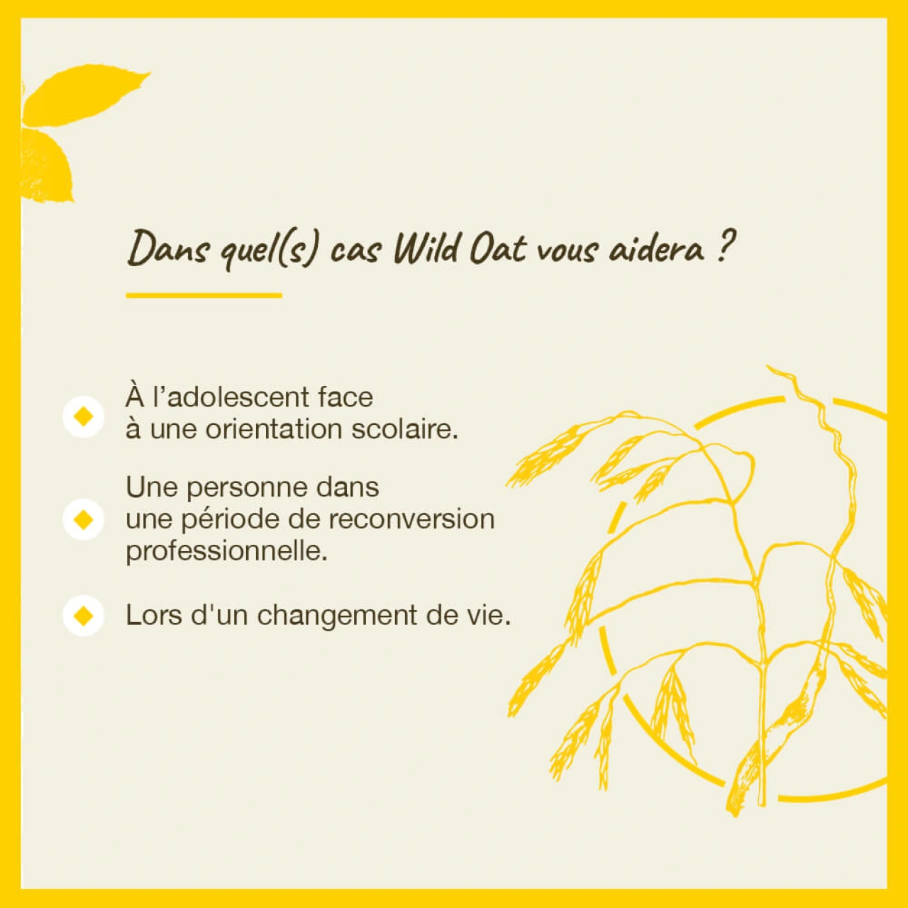 Fleurs de Bach Wild Oat n°36 - Vue 6