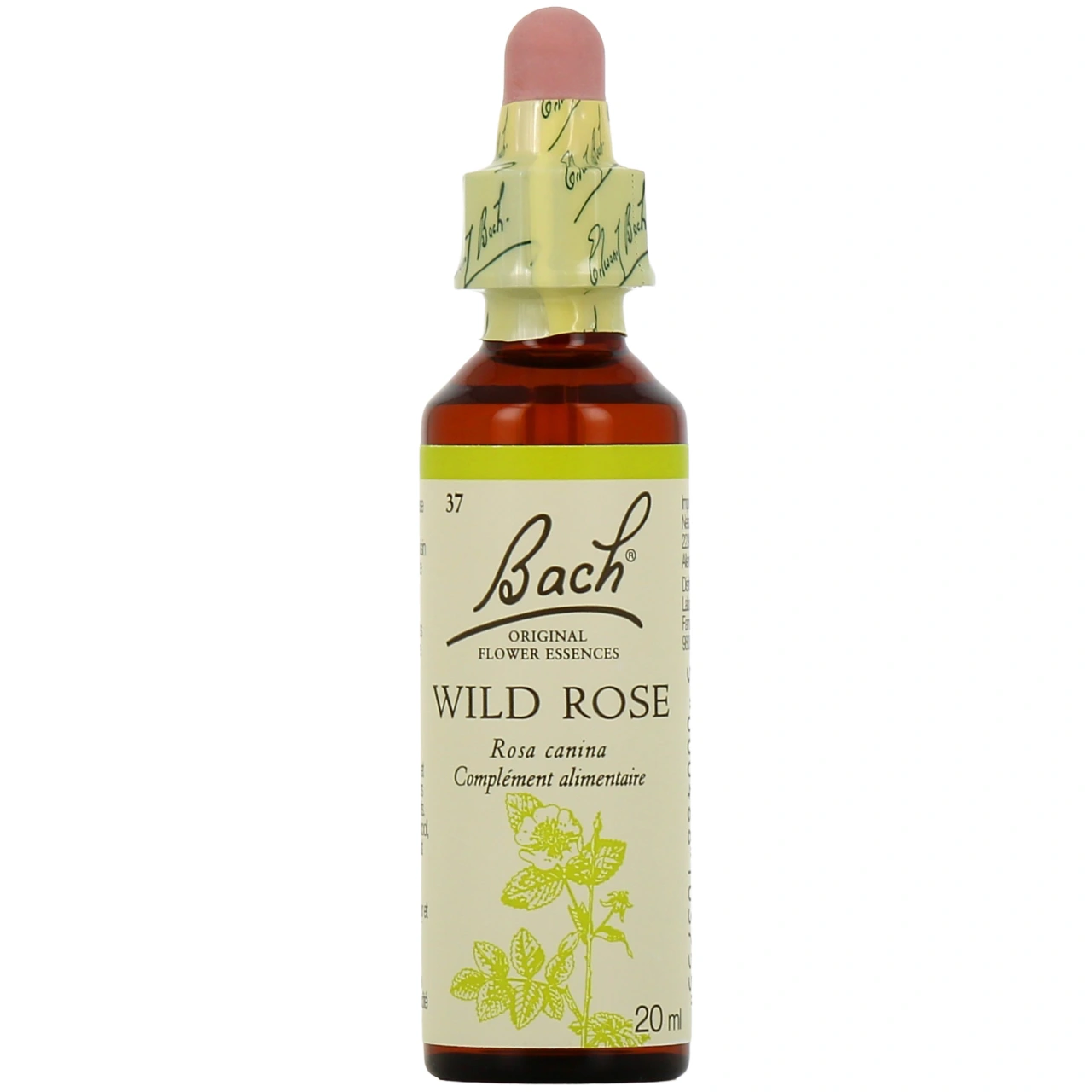Fleurs de Bach Wild Rose n°37 - Fleurs de Bach