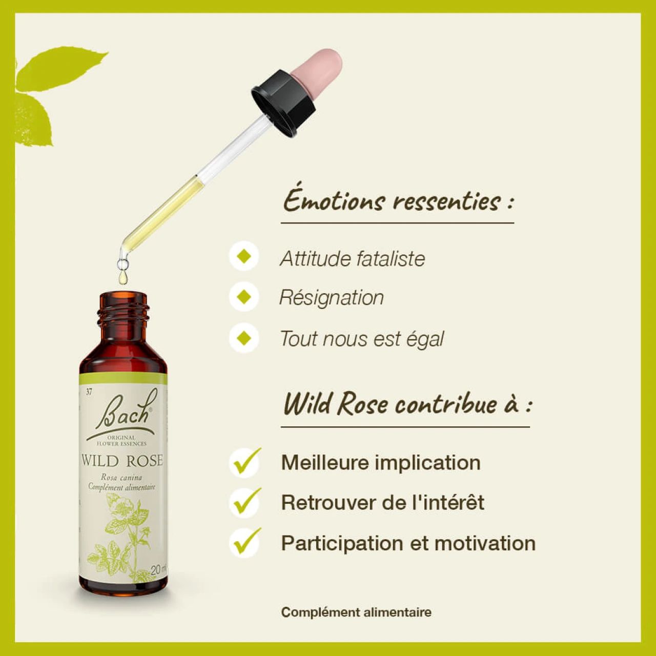 Fleurs de Bach Wild Rose n°37 - Vue 5