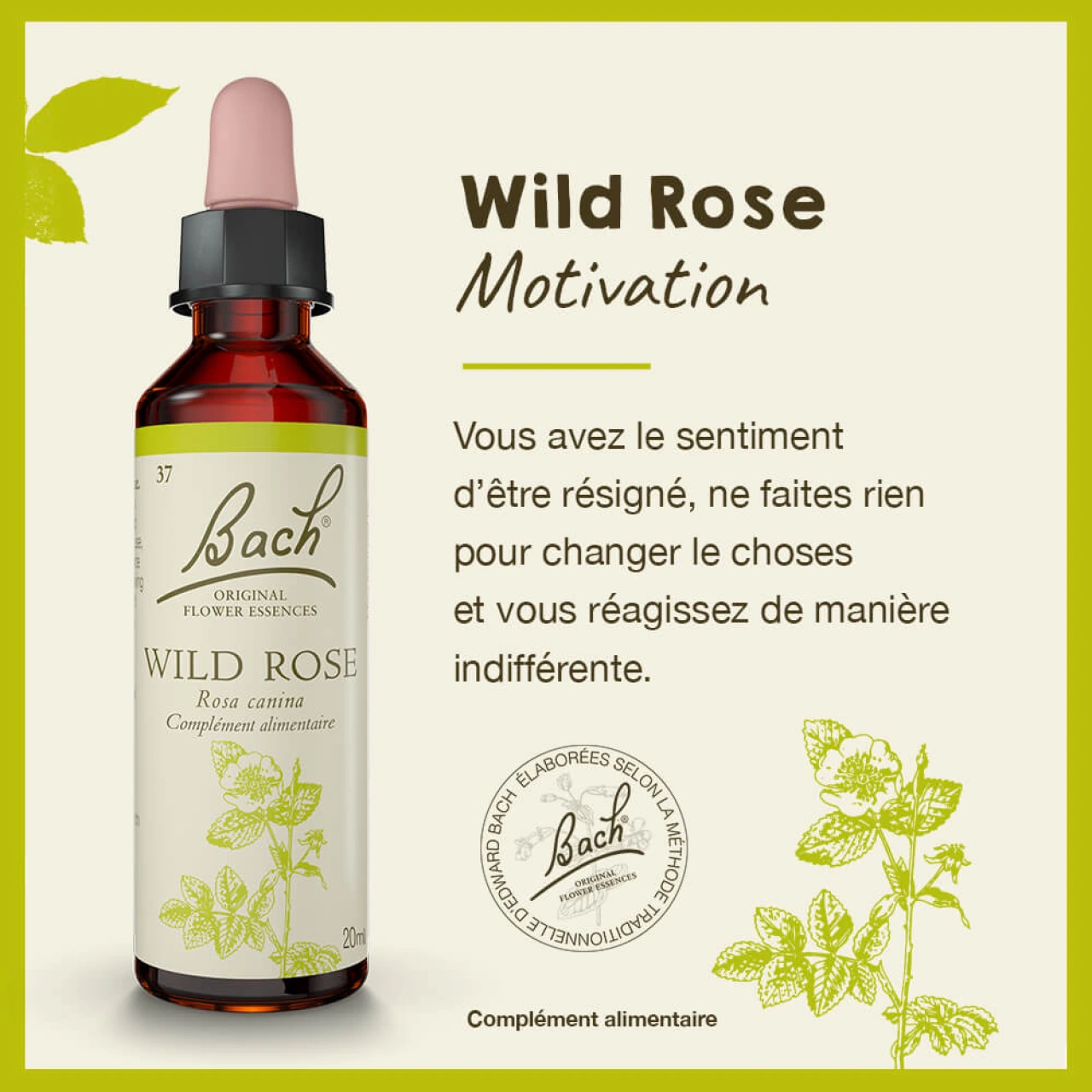 Fleurs de Bach Wild Rose n°37 - Vue 4