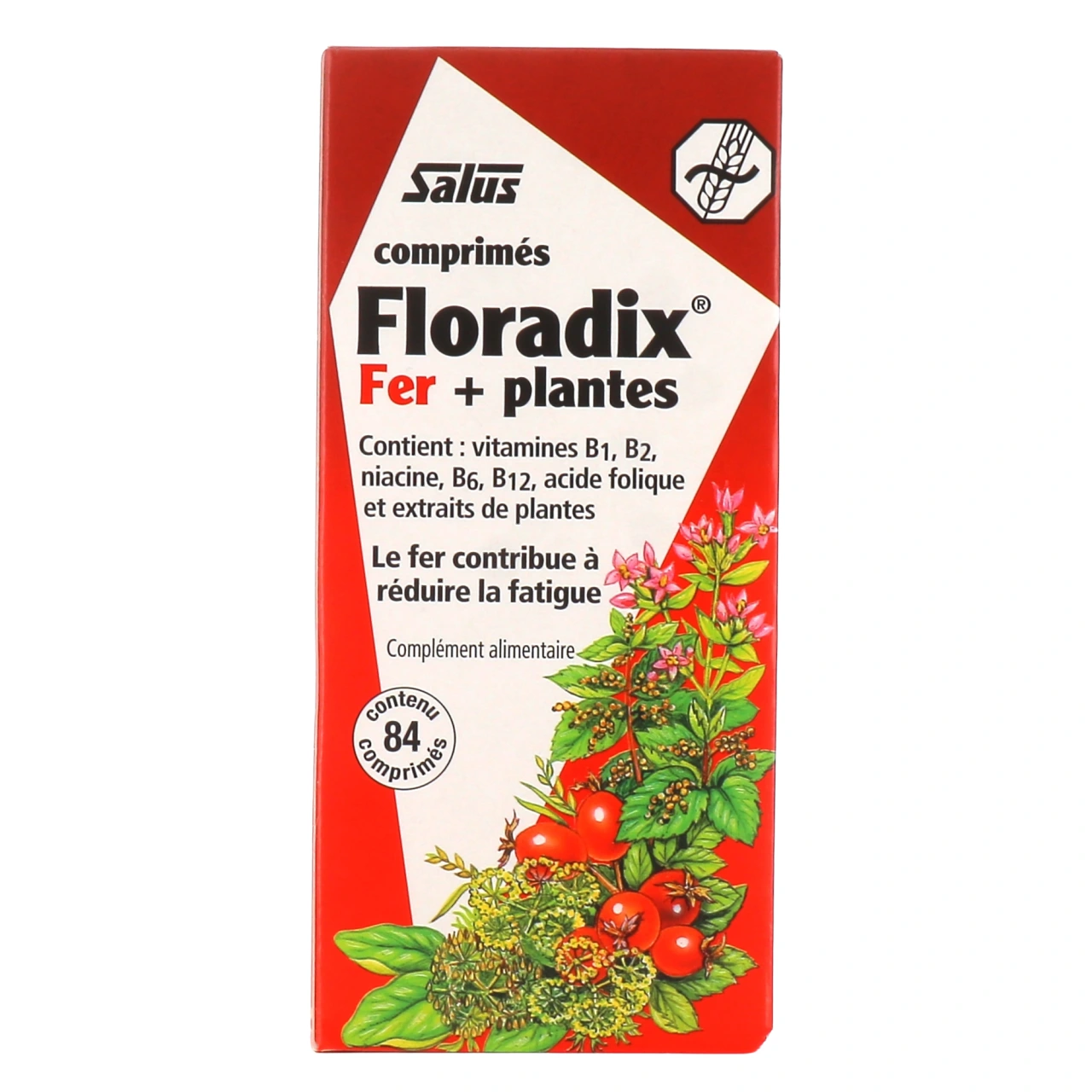 Floradix Fer + Plantes - Biotechnie