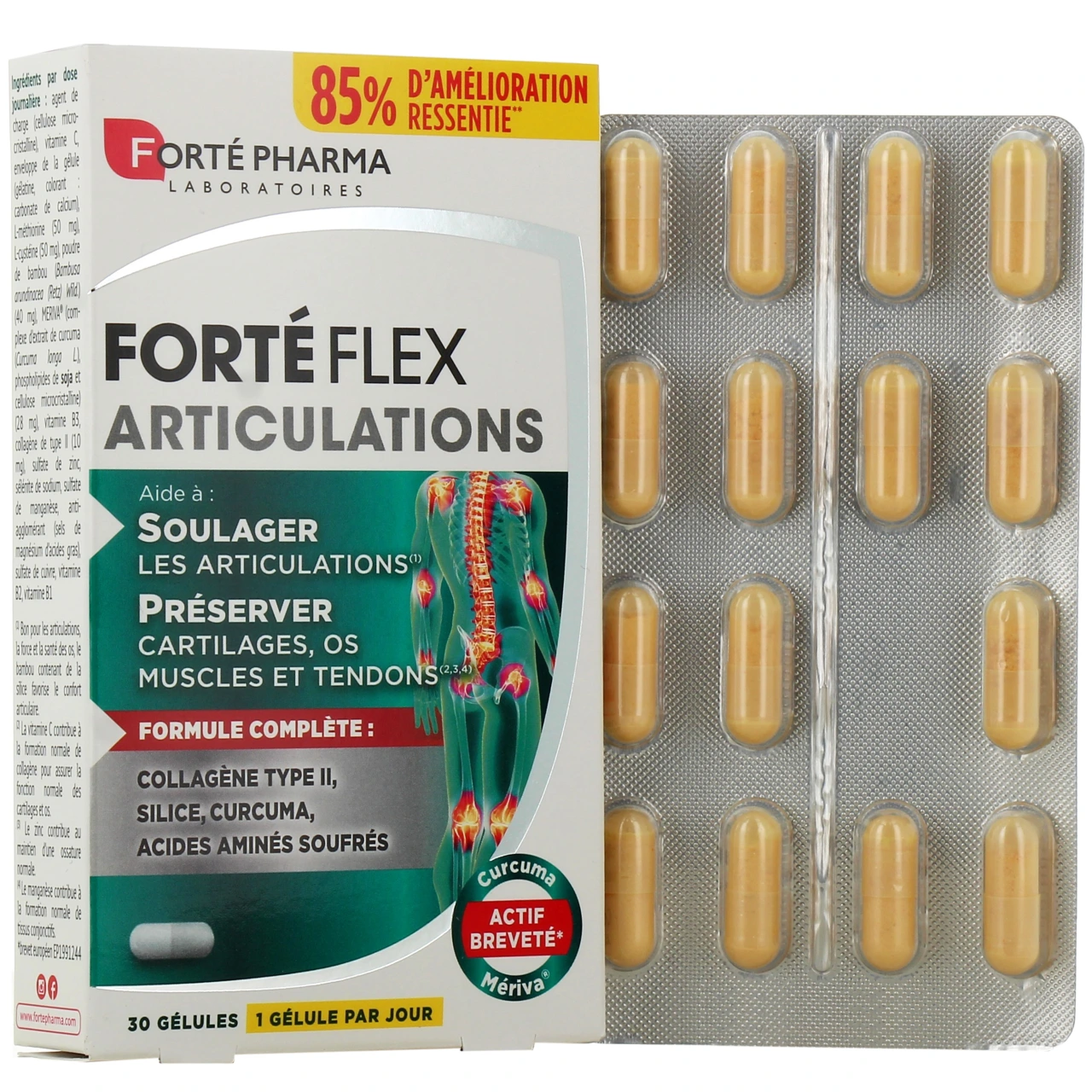 Forté Flex Articulations - Forte Pharma