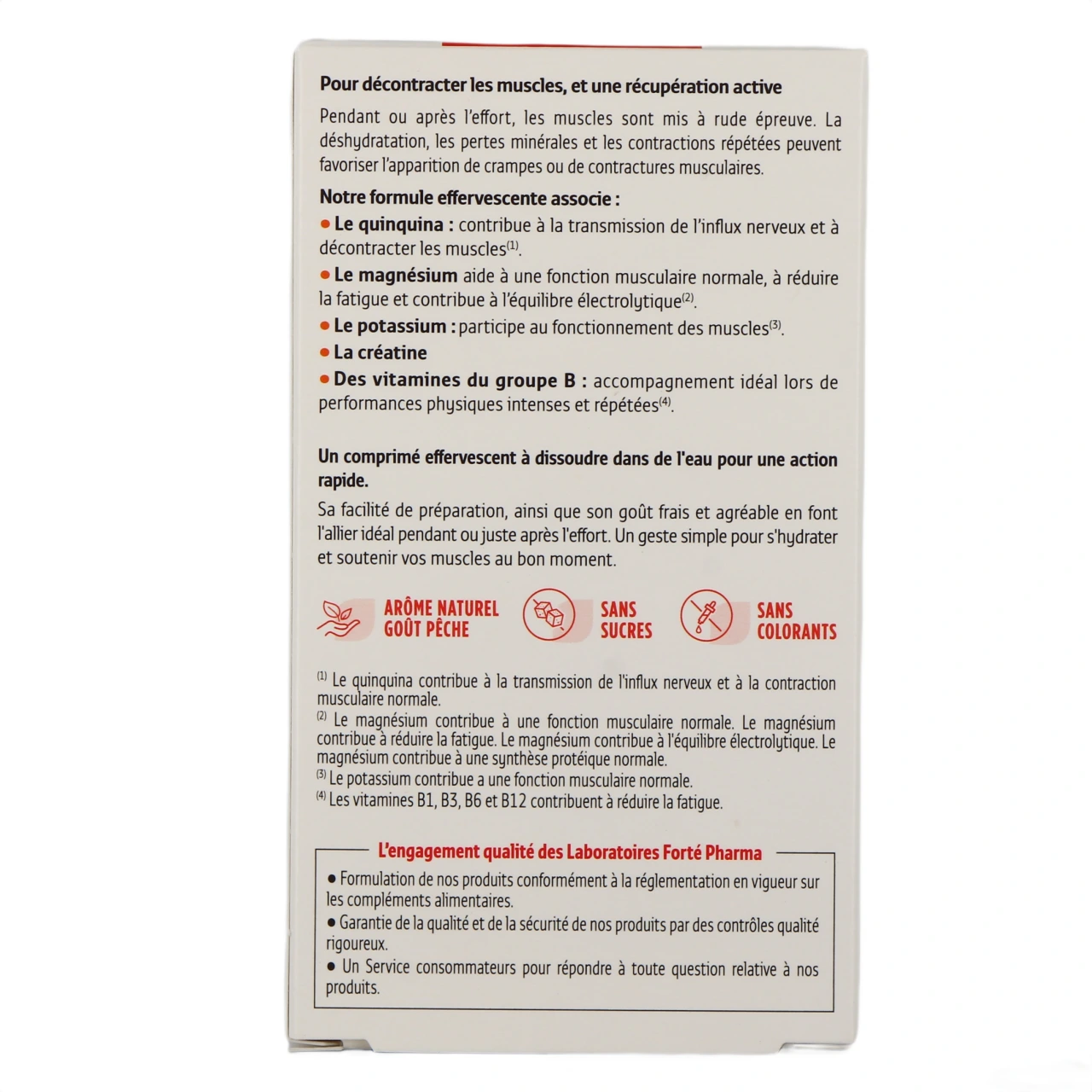 Forté Flex Flash D-Contract' Muscles - Vue 3