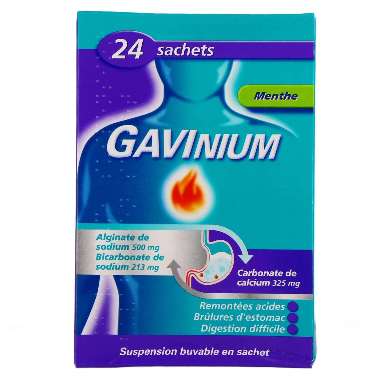 Gavinium - Vue 5