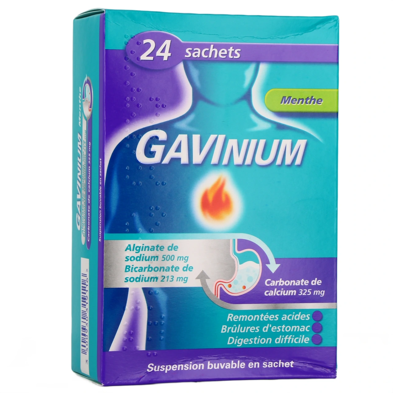 Gavinium - Vue 4