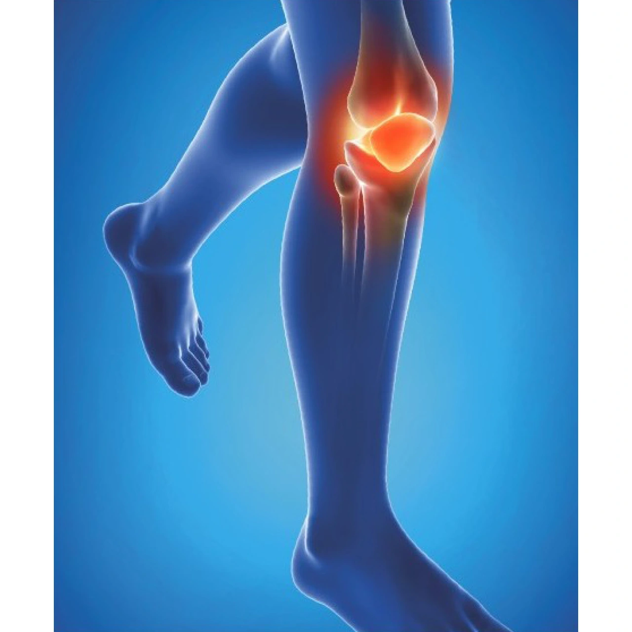 Epitact Physiostrap Genouillère Proprioceptive - Vue 8