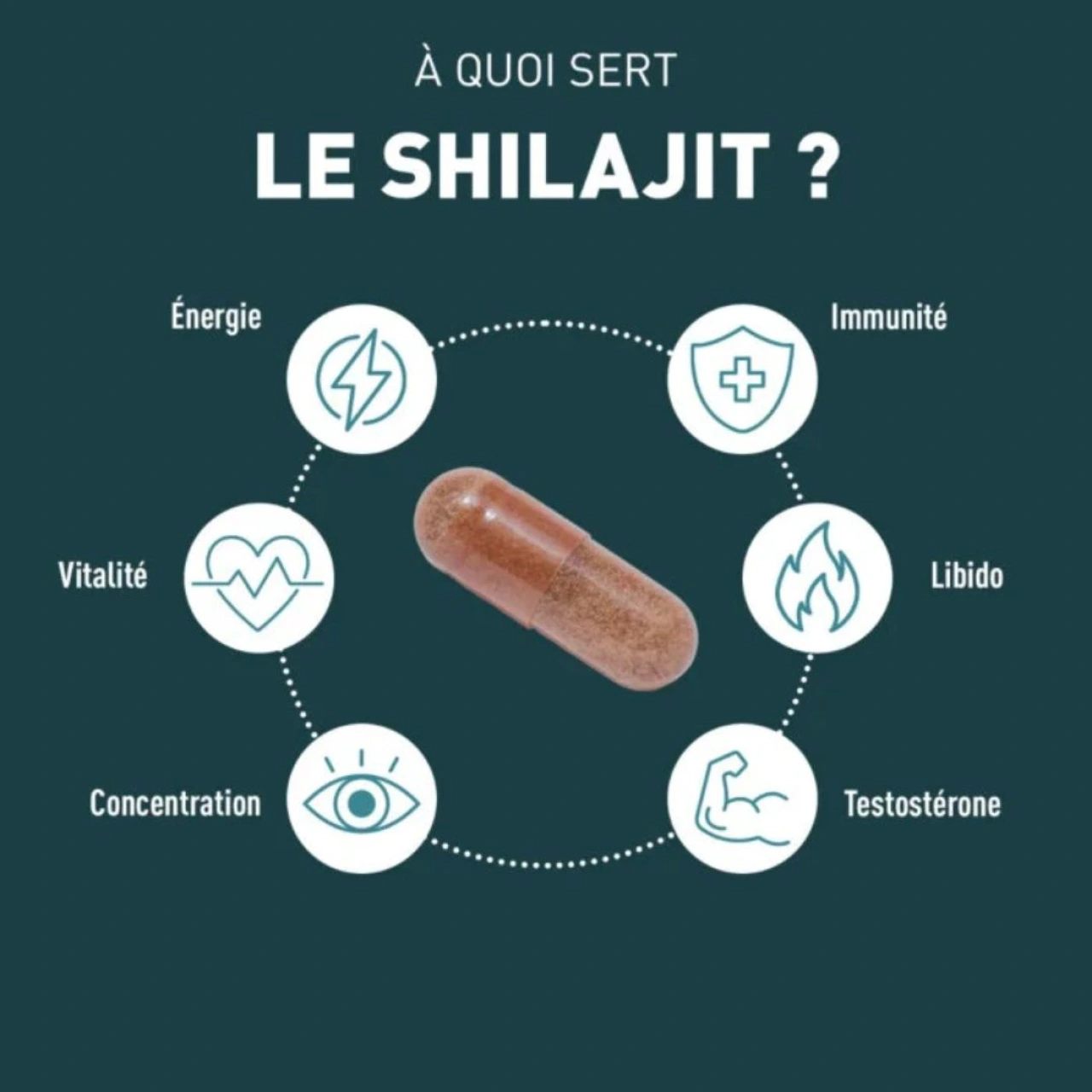 Granions Shilajit - Vue 7