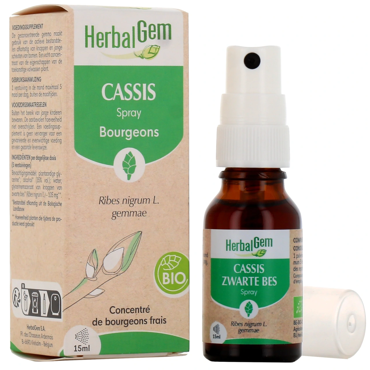 Herbalgem Cassis Bio - Vue 4