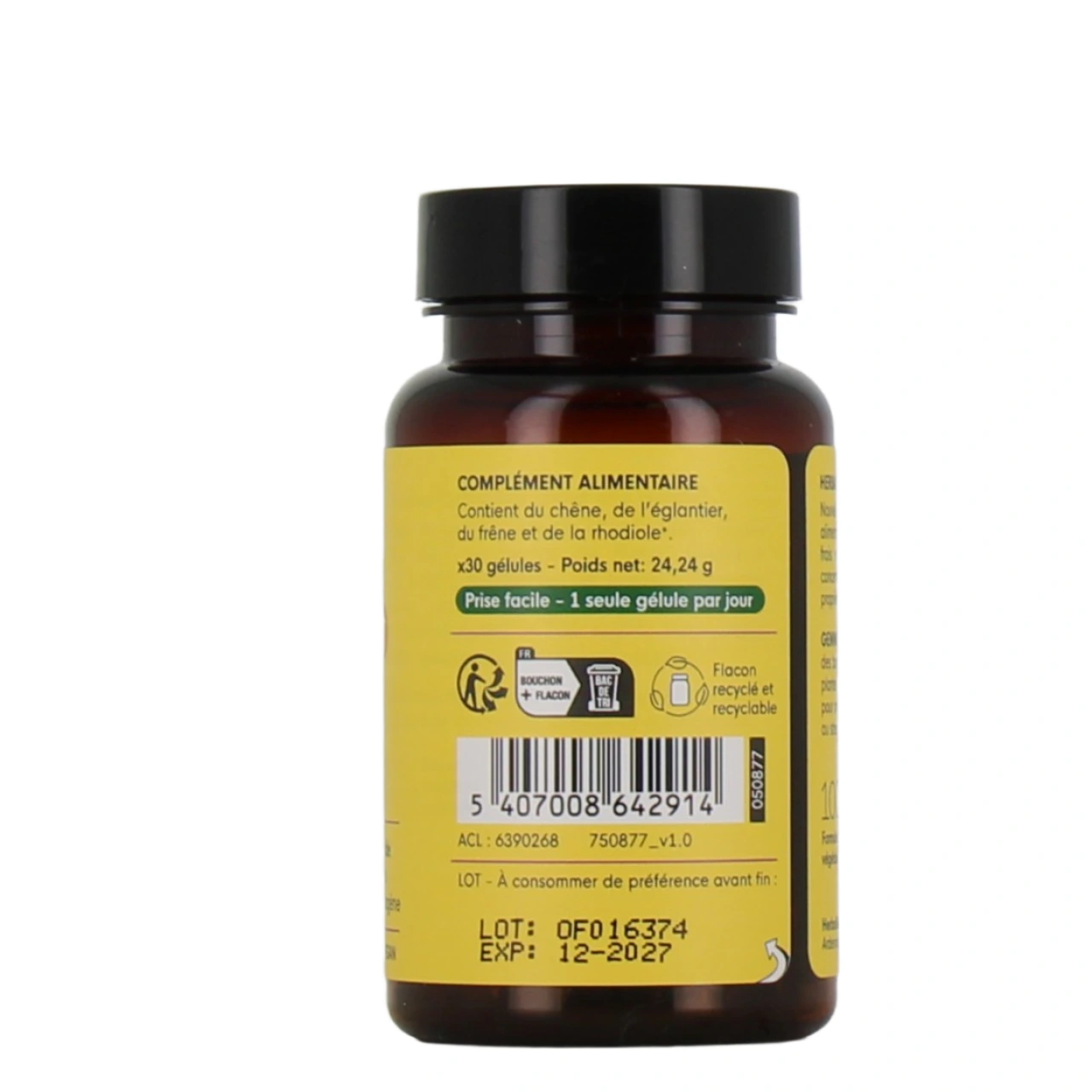 Herbalgem Gemmocaps Stress-Protect Moral+ - Vue 2