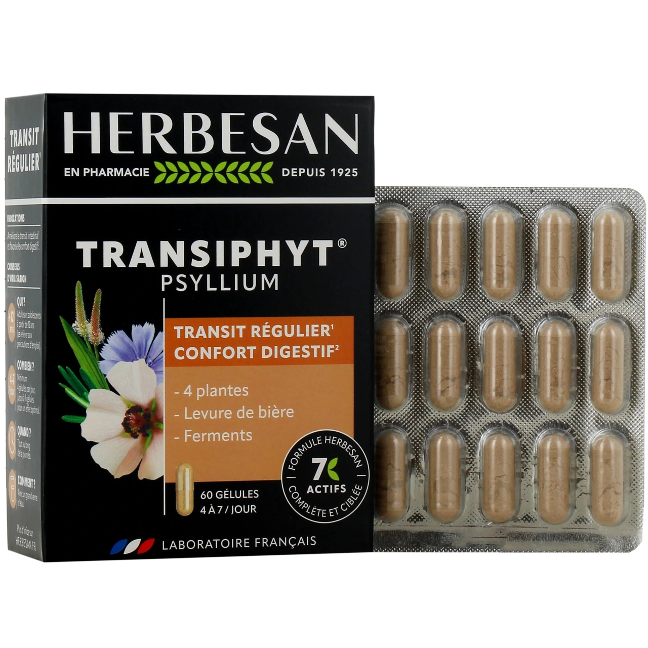 Herbesan Transiphyt - Vue 4