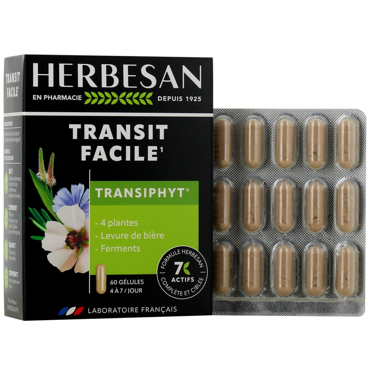 Herbesan Transiphyt - Herbesan