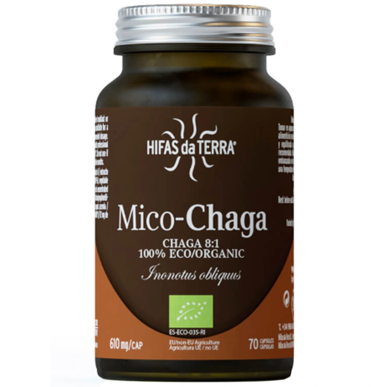 Hifas da Terra Mico-Chaga - Hifas da Terra