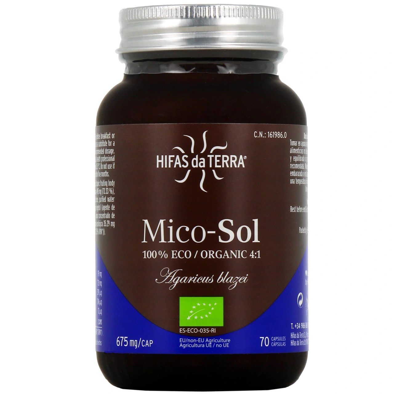 Hifas da Terra Mico-Sol - Hifas da Terra