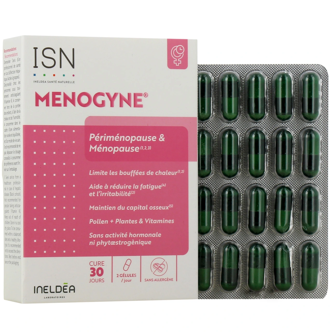 Ineldea Menogyne - Ineldea