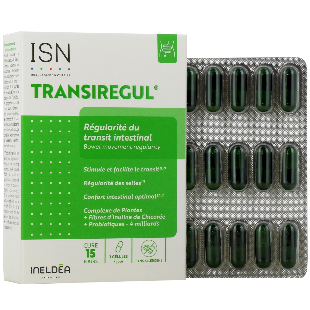 Ineldea Transiregul - Ineldea
