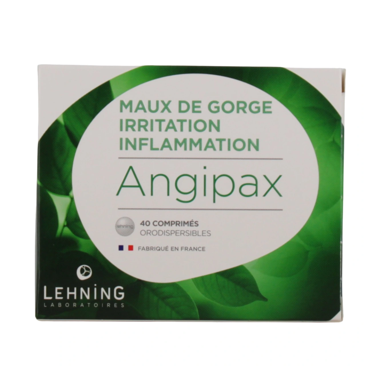 Lehning Angipax - Vue 2