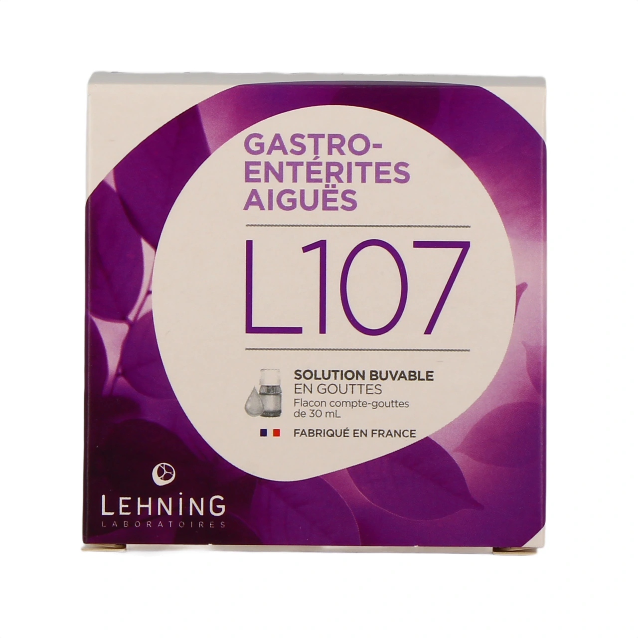 Lehning L107 - Vue 2