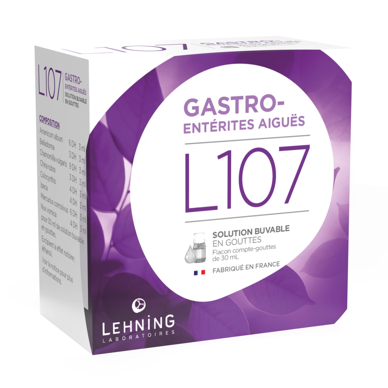Lehning L107 - Vue 4
