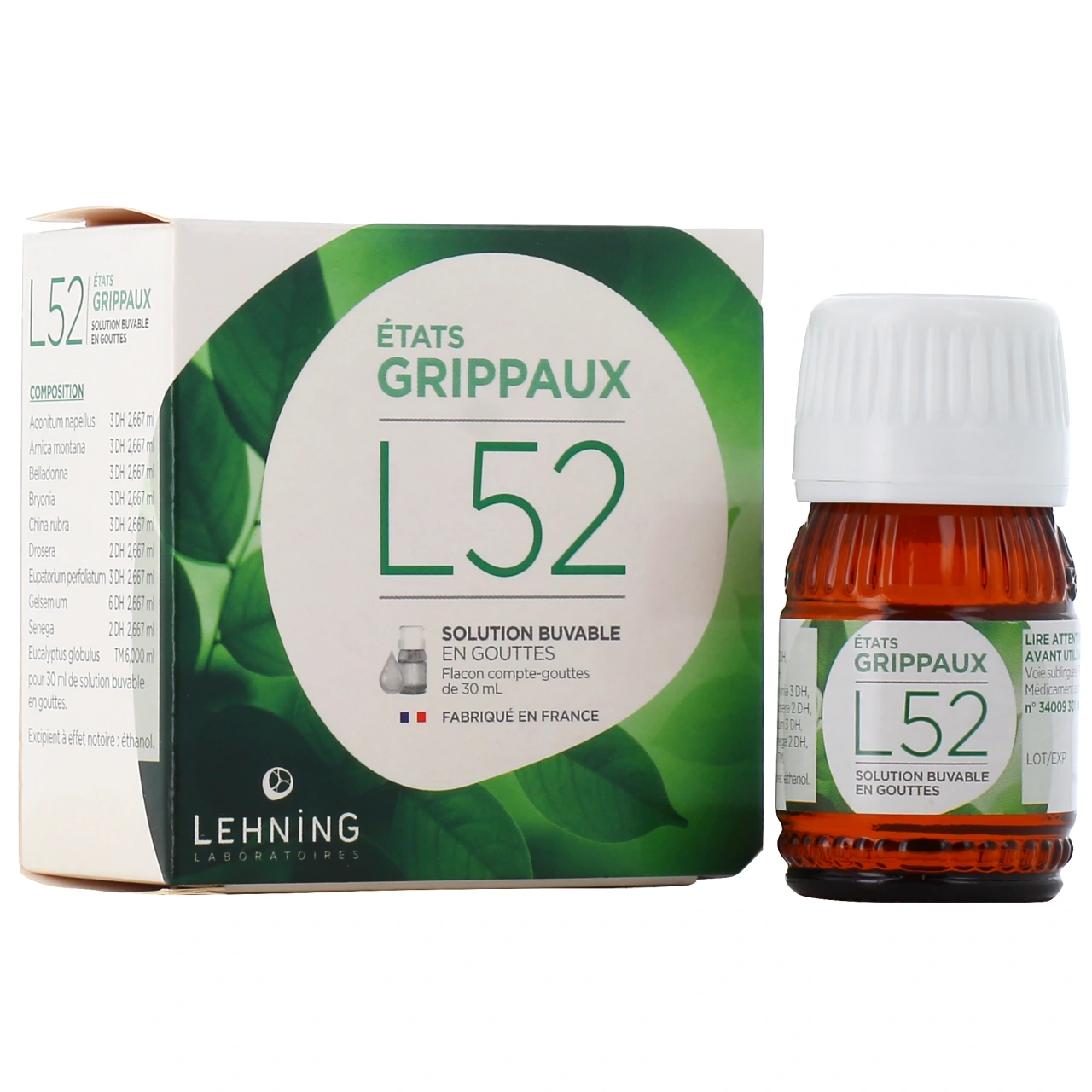 Lehning L52 Etats Grippaux - Vue 7