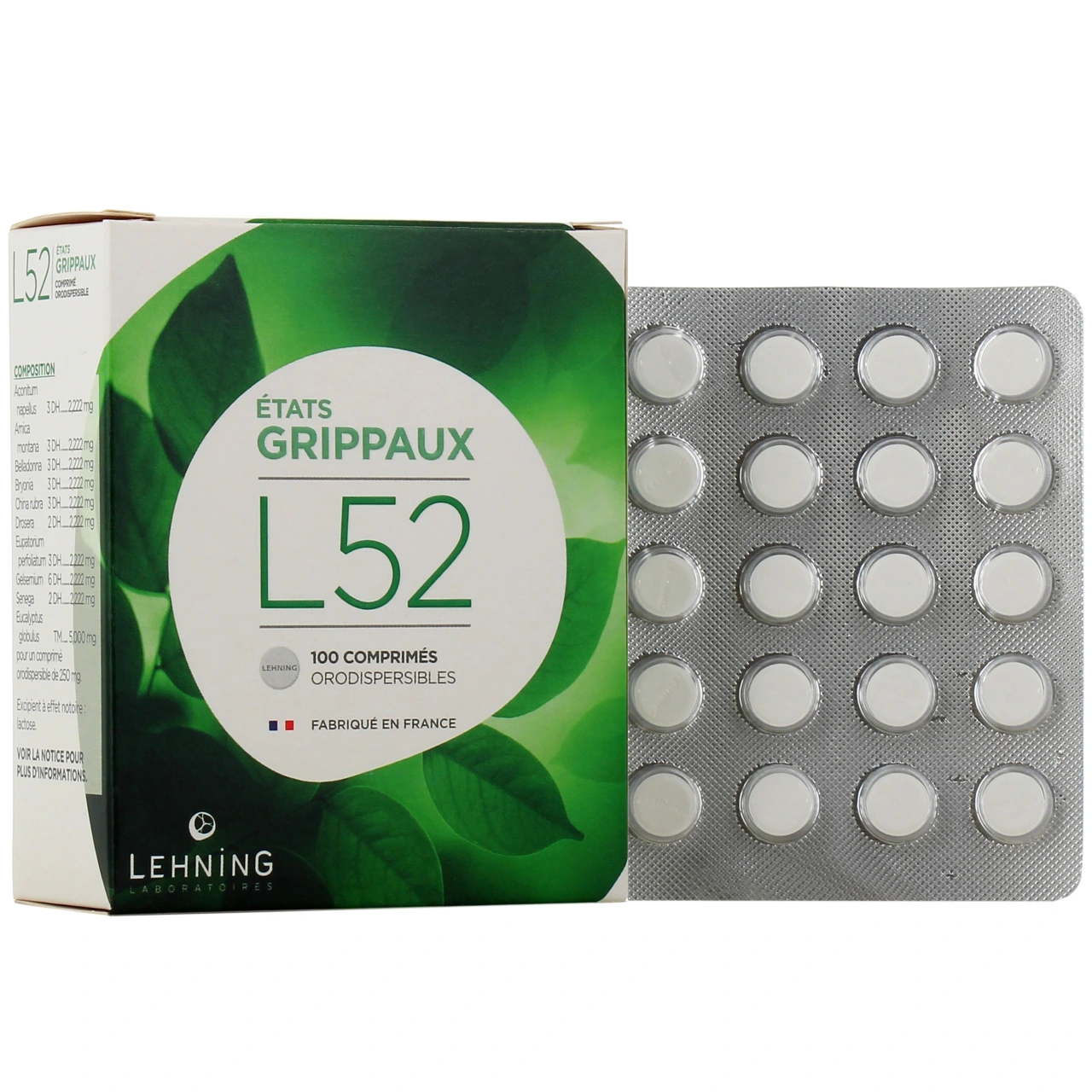 Lehning L52 Etats Grippaux - Vue 4
