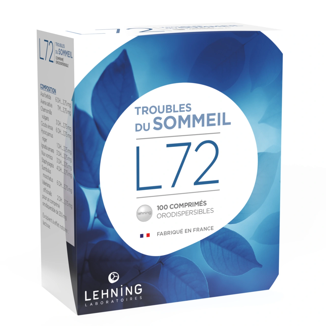 Lehning L72 - Vue 2