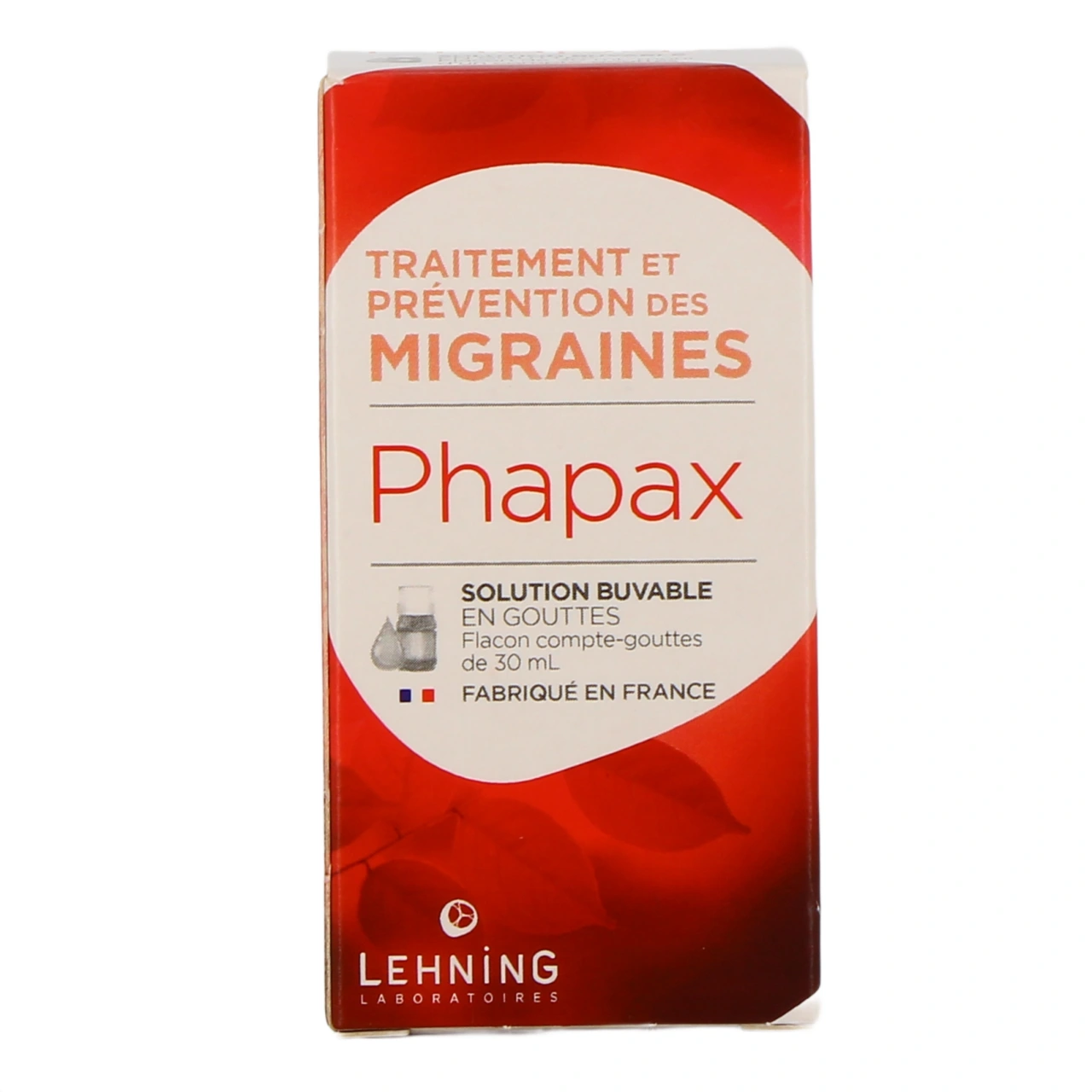 Lehning Phapax - Vue 2