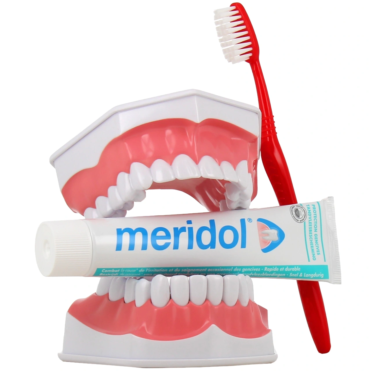 Meridol Dentifrice Protection Gencives - Vue 5