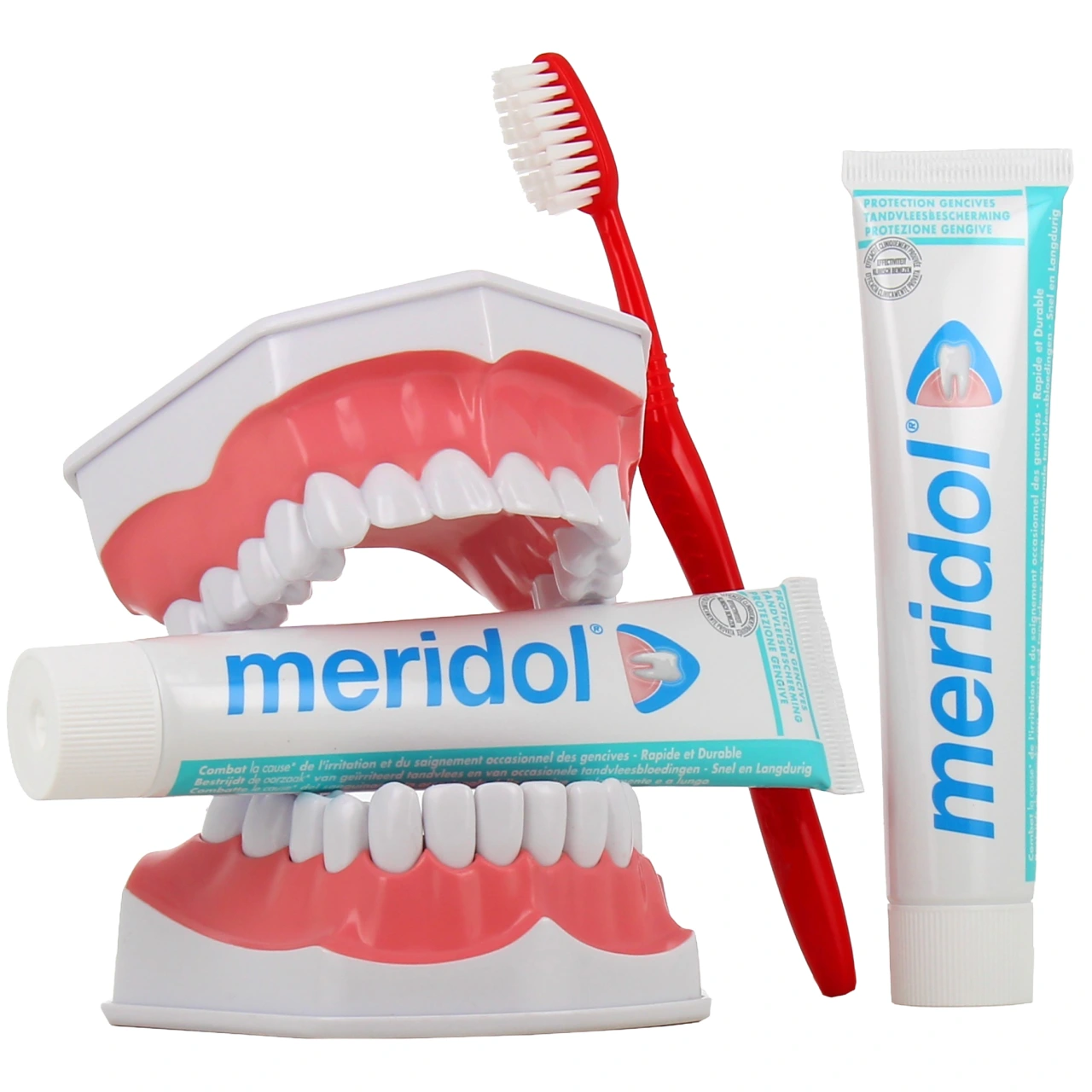 Meridol Dentifrice Protection Gencives - Vue 8