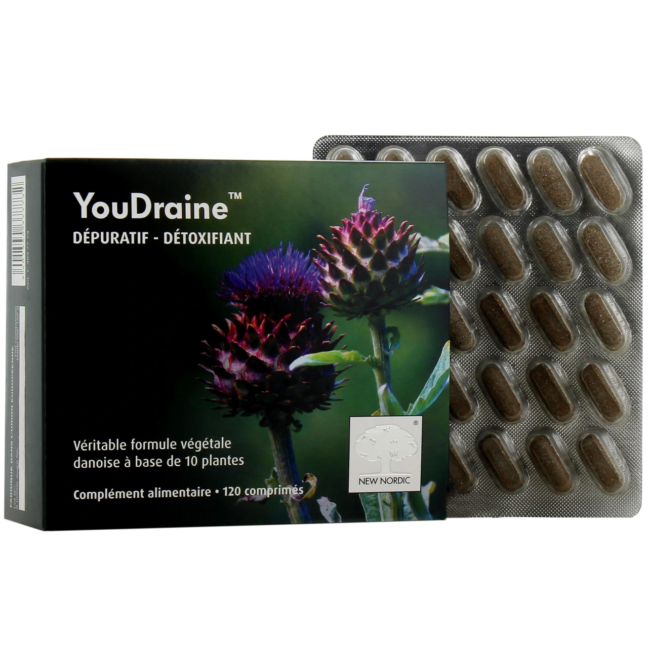 YouDraine - New Nordic
