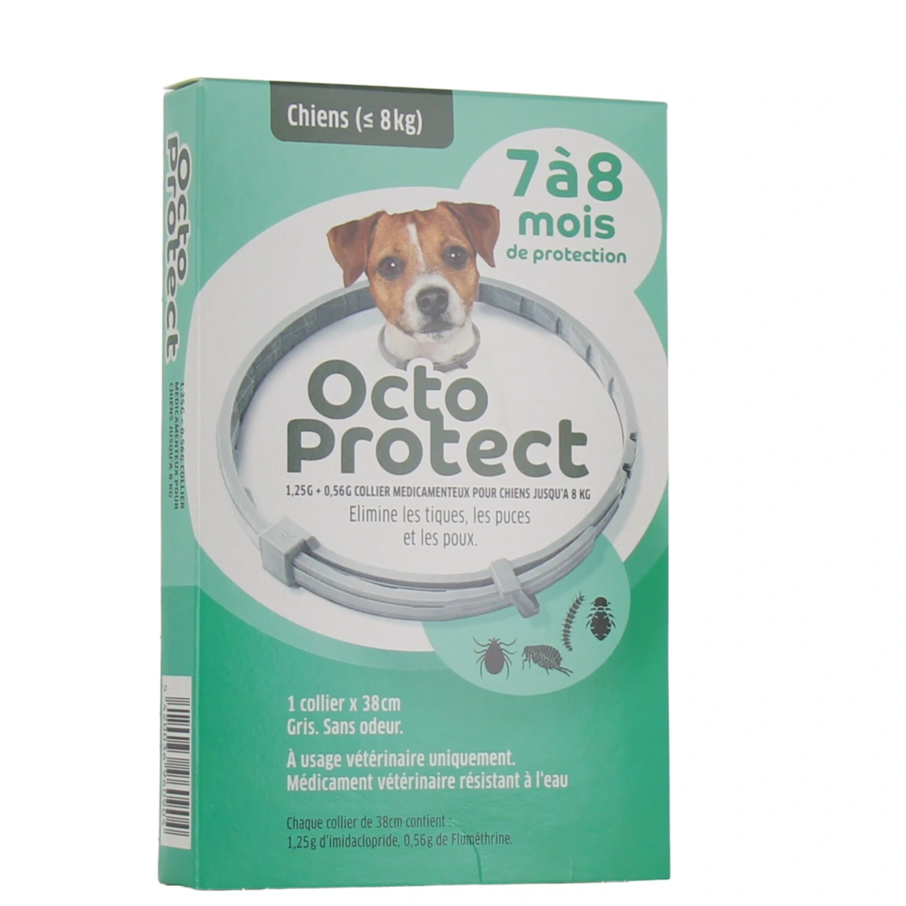 Octoprotect - Vue 3