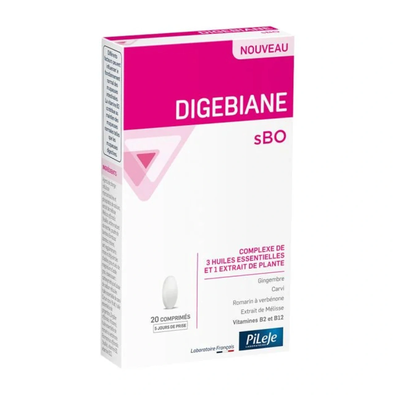 Pileje Digebiane sBO - Vue 4