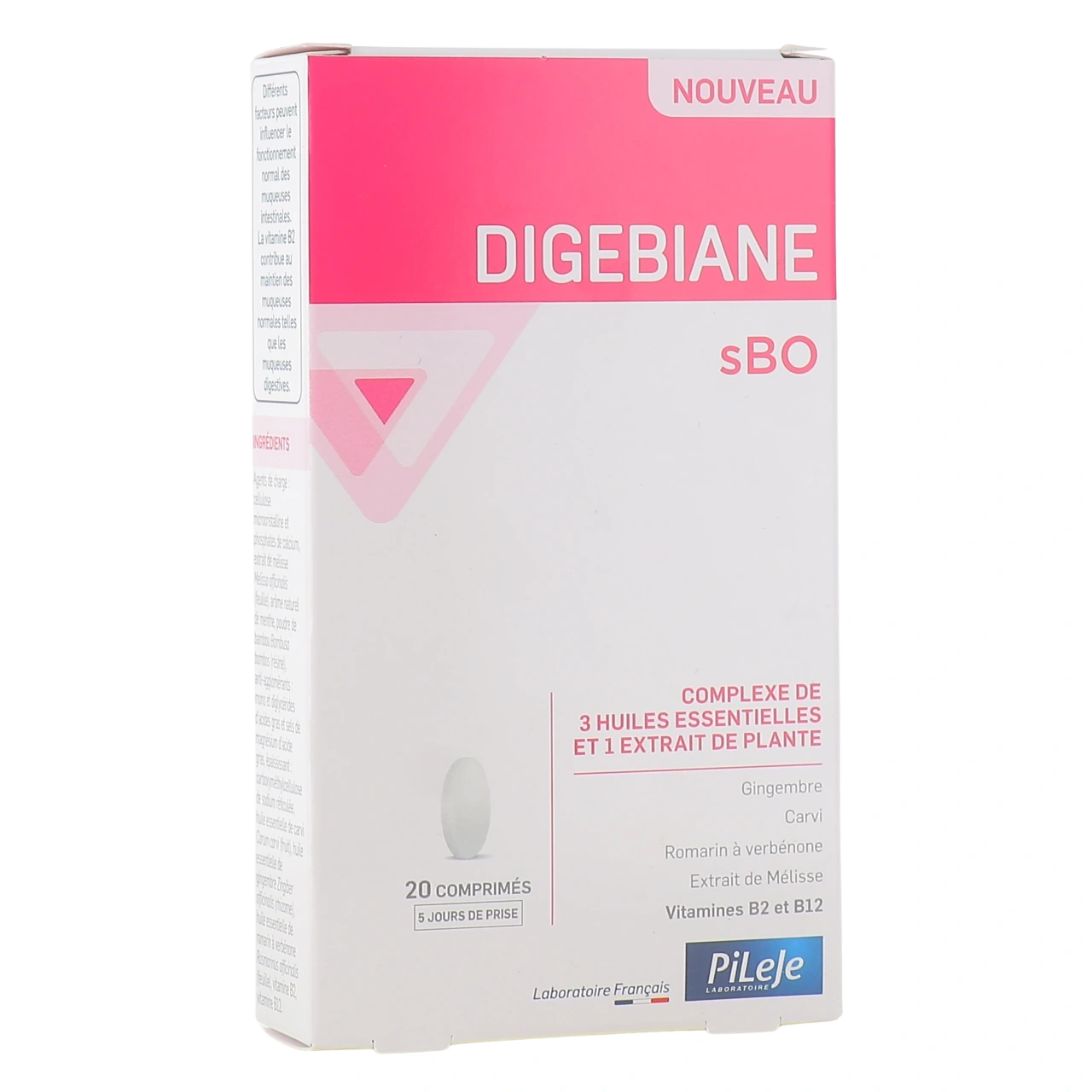 Pileje Digebiane sBO - PiLeJe