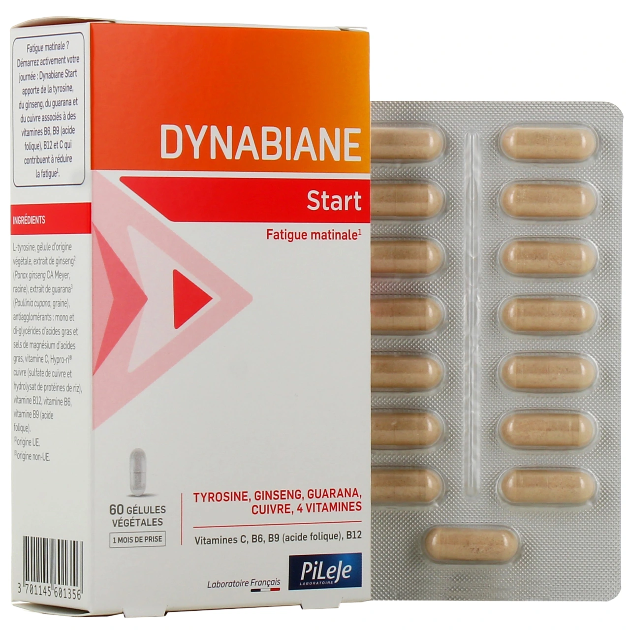 Pileje Dynabiane Start - Vue 4