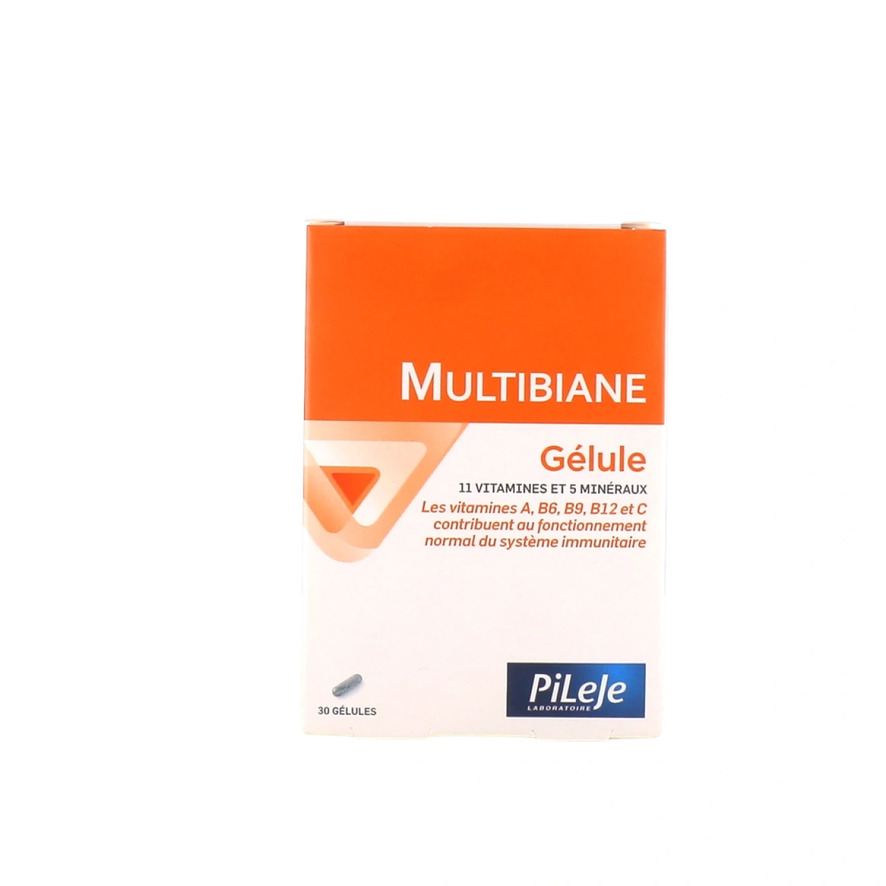 Pileje Multibiane - Vue 12