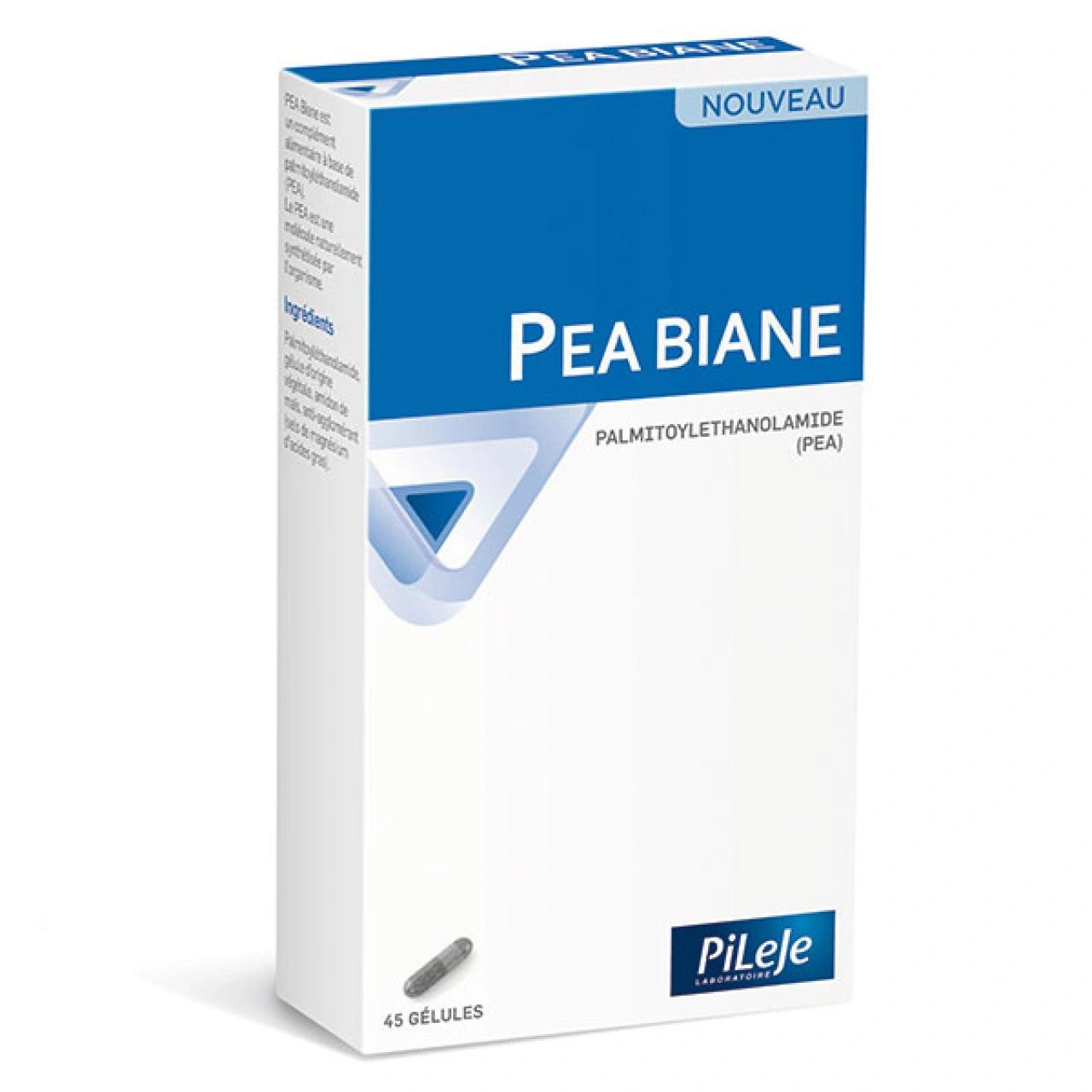 Pileje PEA Biane - Vue 6
